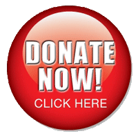 donate-now