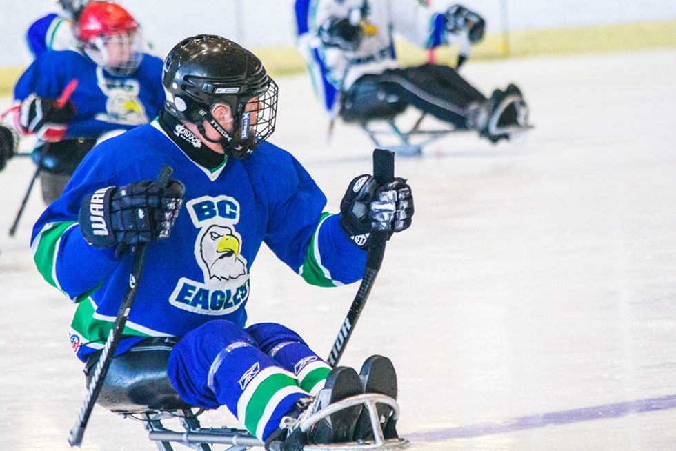 Para Ice Hockey Coaching Resource Sledge Hockey Coaching Resource